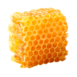 Honey PNG-86264